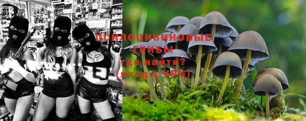 круглые Новодвинск