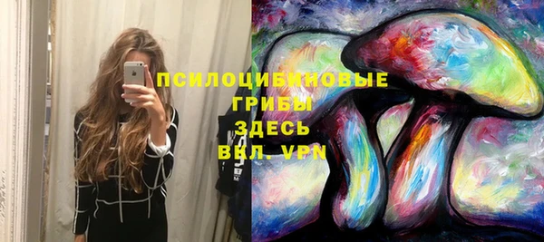 круглые Новодвинск