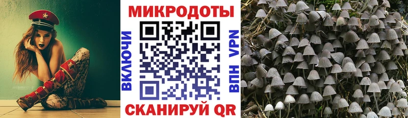Псилоцибиновые грибы ЛСД  Кстово 