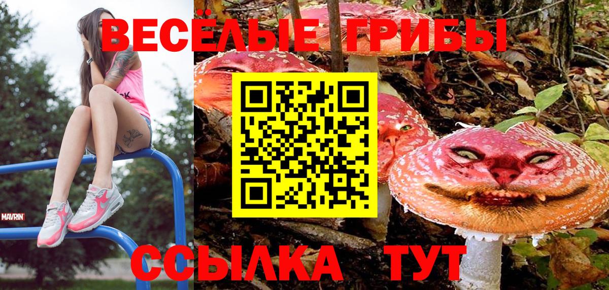 Галлюциногенные грибы Magic Shrooms  Вход с VPN  Кстово 