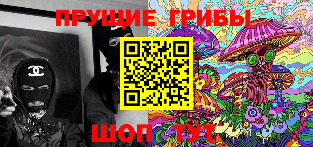 Псилоцибиновые грибы Psilocybe  Кстово  магазин продажи   Псилоцибиновые грибы Magic Shrooms 